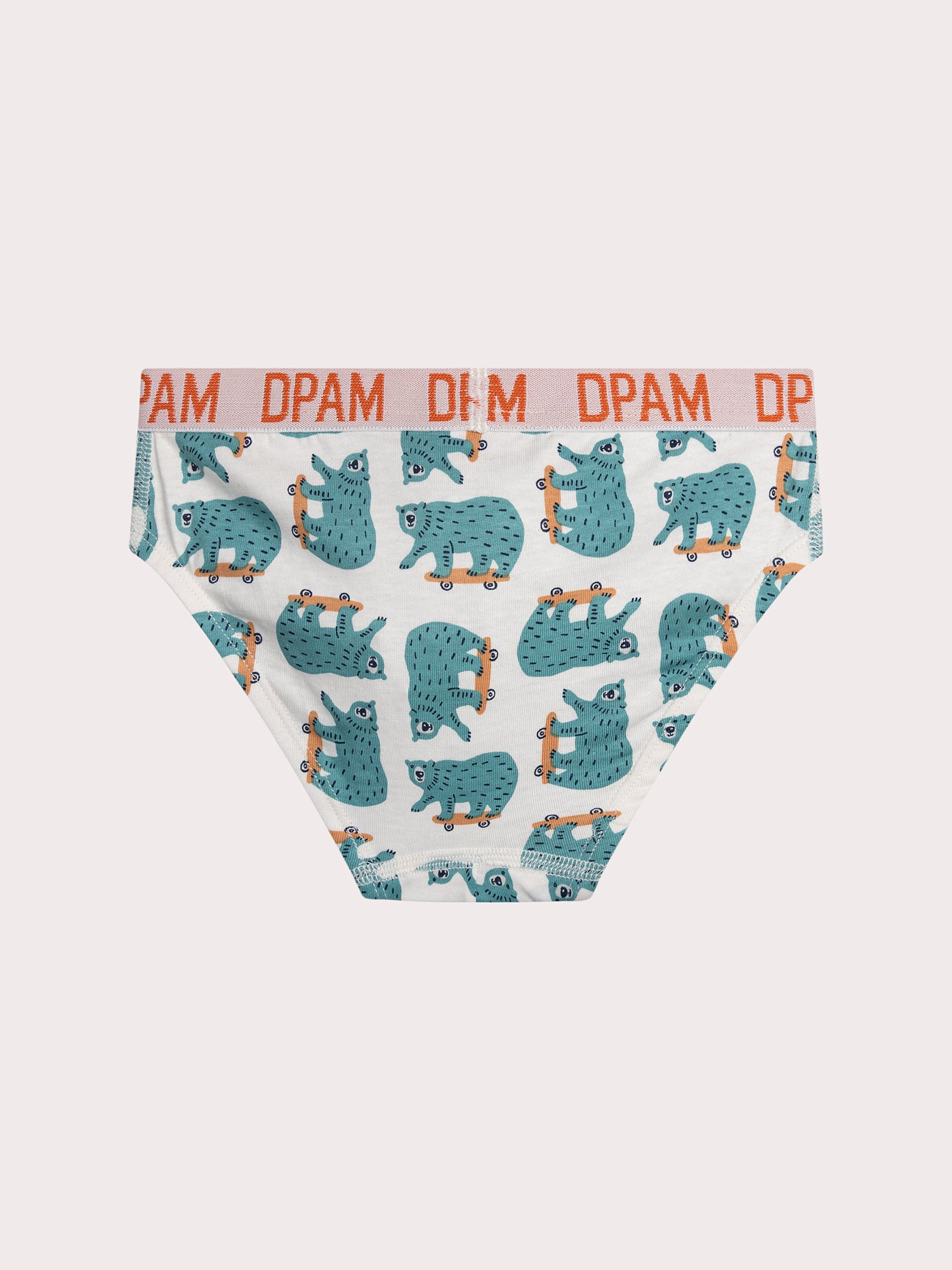 Lot de 5 slips animaux pour enfant garçon
