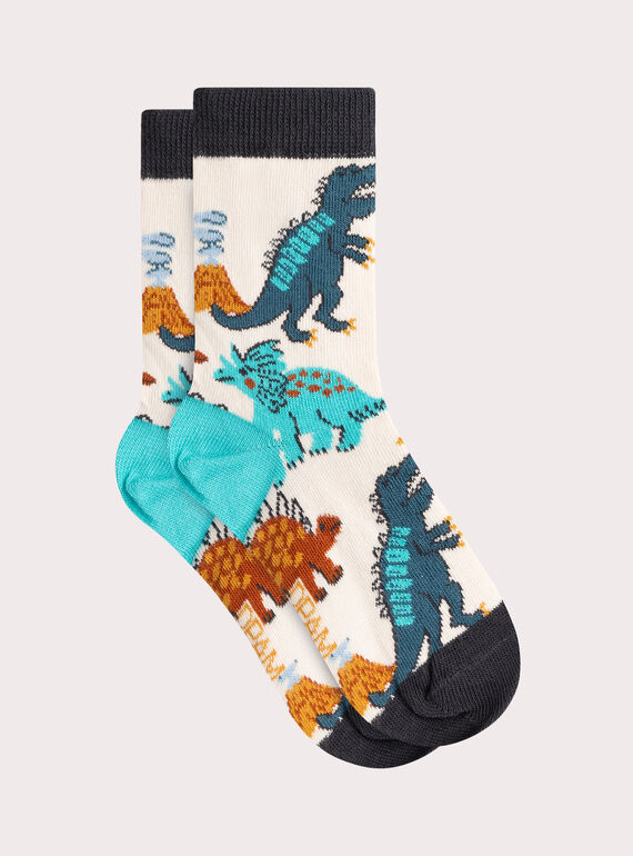 Chaussettes à motif dinosaure pour garçon VYOJOCHO4 / 24WI02G4SOQ810